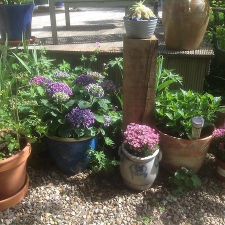 Au Fond Du Jardin Maison D'Hotes Saint-Saëns Екстериор снимка